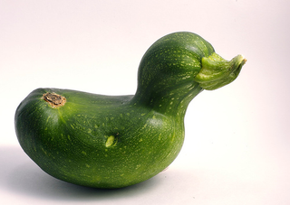 Illustration for article titled The Zucchini Soup to End Zucchini Soups